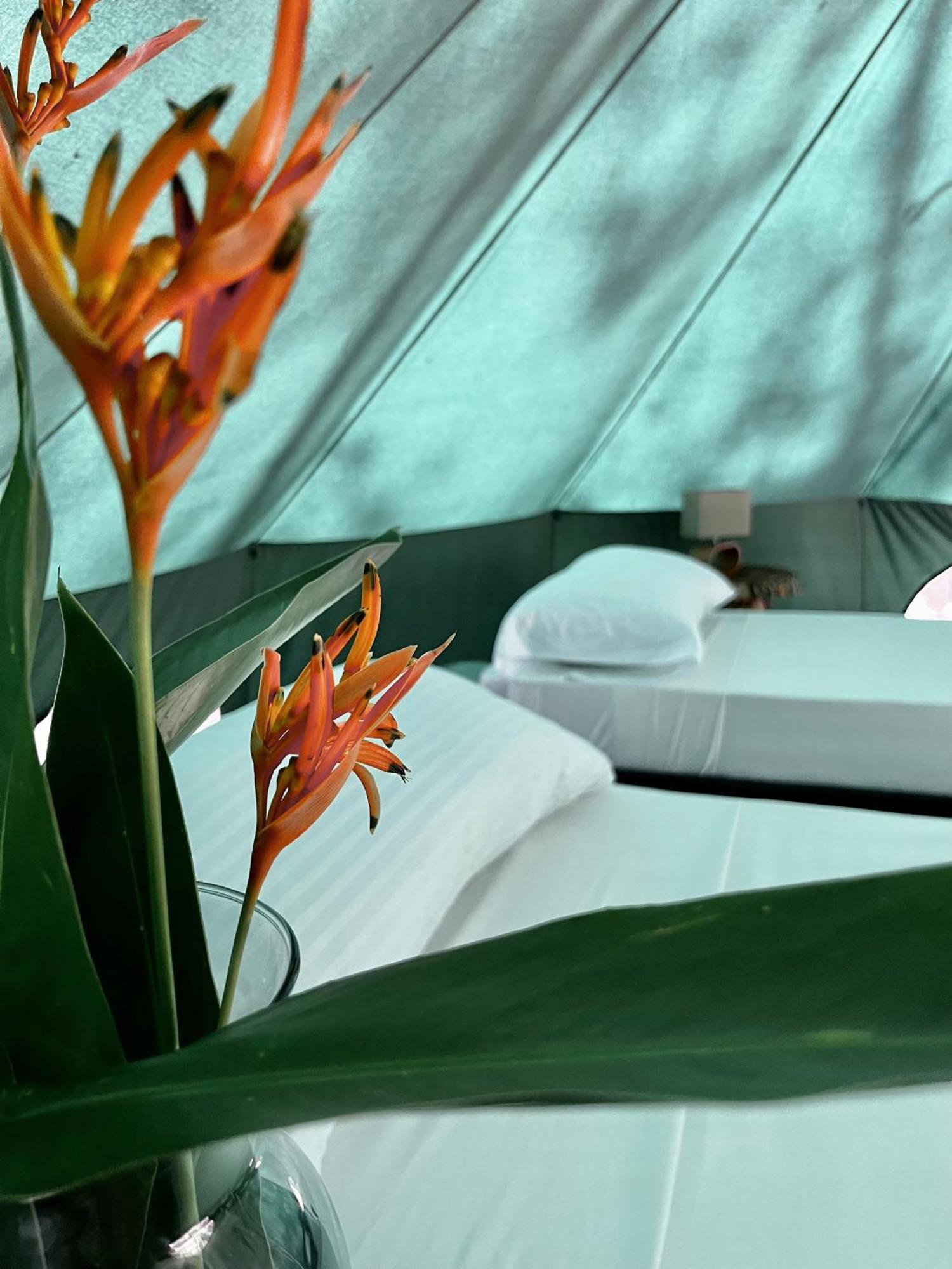 One Santuario Hotel Y Reserva Natural Паломино Номер фото